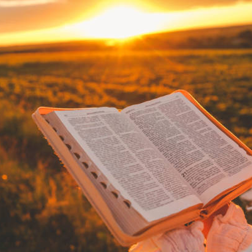 A Story of Resilience: How Faith Helped Shannon Riebe Overcome Addiction